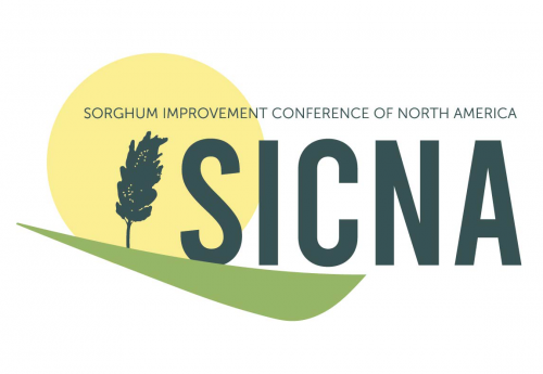 SICNA Intro Logo PNG 1150×920 C