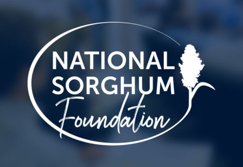National Sorghum Producers Donate National Sorghum Foundation