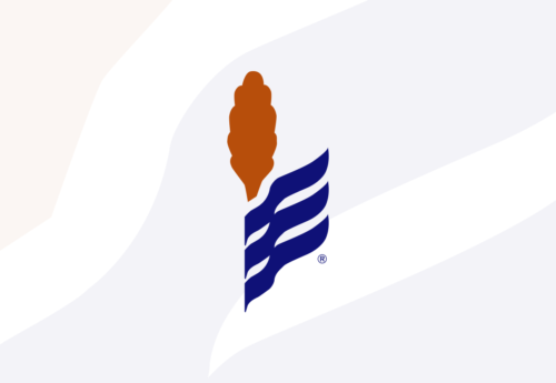 Placeholder NSP Icon Only Rectangle