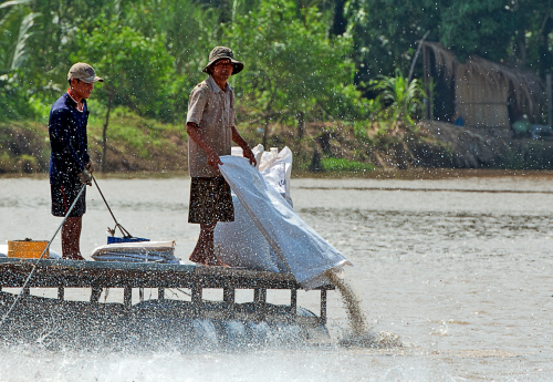 Spring20 FishersHeader