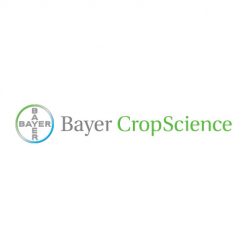 Bayer IP Testimonial