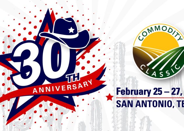 504977569 1276306391171246 2841617263079737686 N