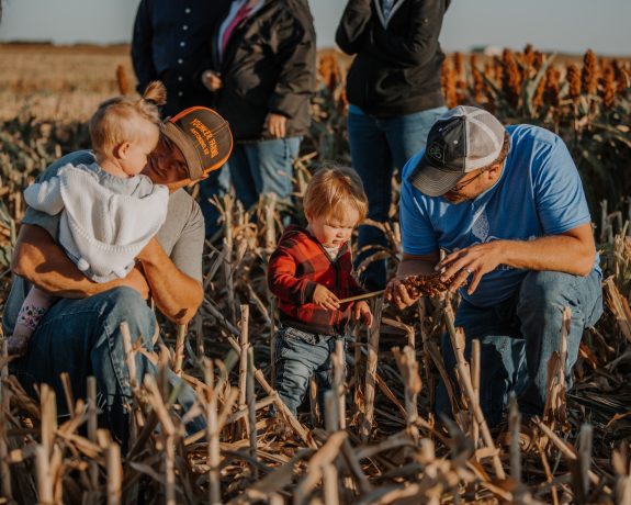 Kansas Fall Harvest 22.6