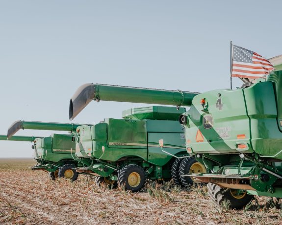 Berning Harvest 003, Brighter