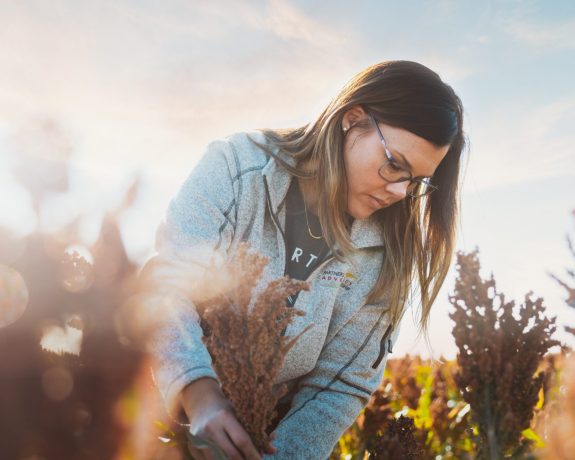 US Sorrghum Harvest 7