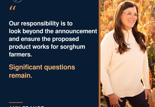 NSP Amy France CME Sorghum Futures Statement NSP Amy France CME Sorghum Futures Statement