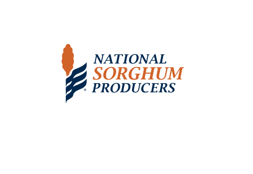 NSPNewLogo NavyandOrange (1)