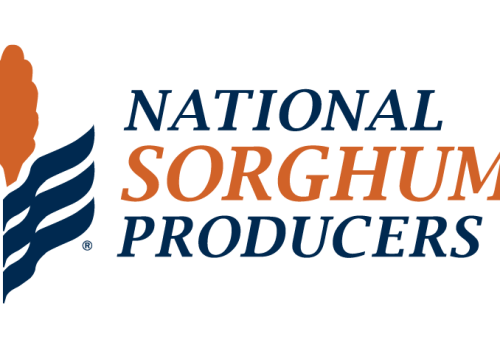 NSPNewLogo NavyandOrange (1)