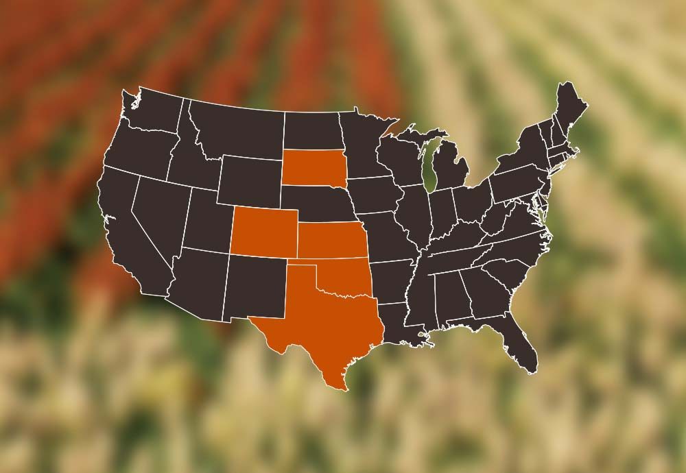 Sorghum Facts National Sorghum Producers