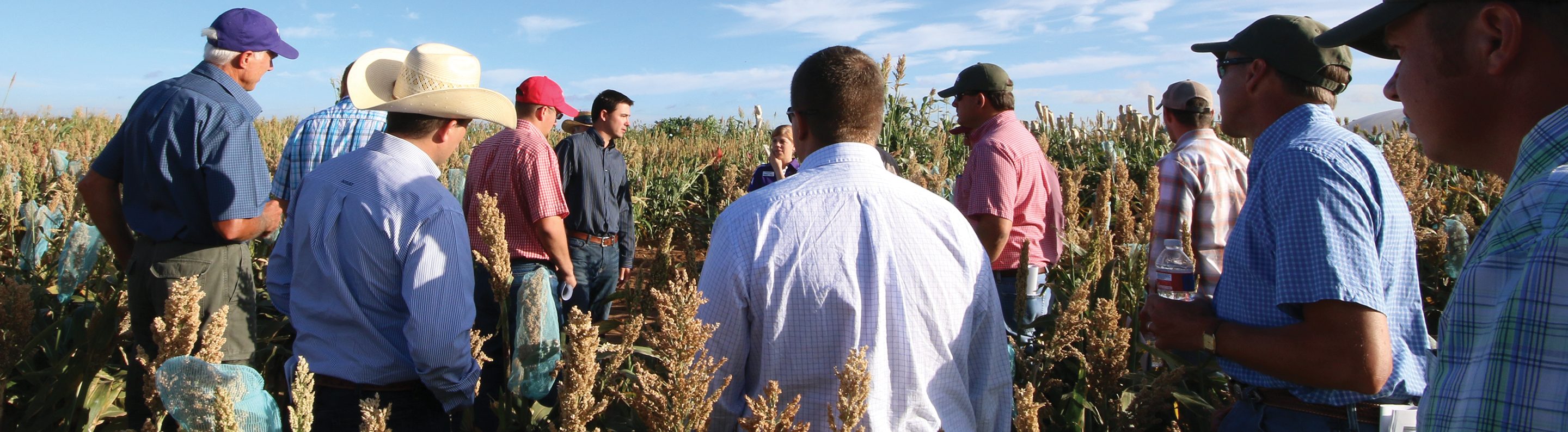 Young Leadership - National Sorghum Producers