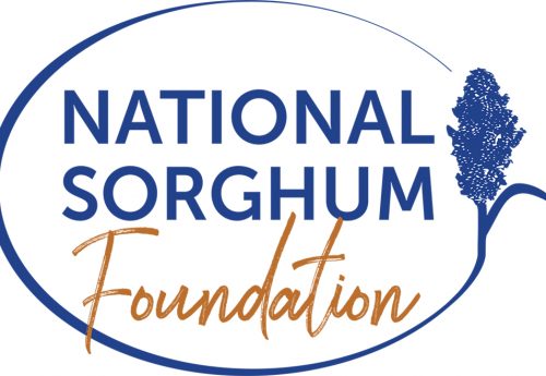 Foundation Logo Web