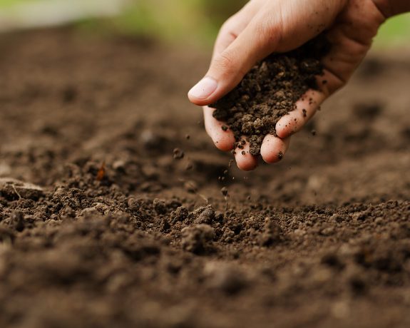 Carbon Reduction – Intro